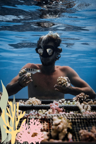 WHY WE JUST HAD TO DONATE 1%  TO CORAL GARDENERS