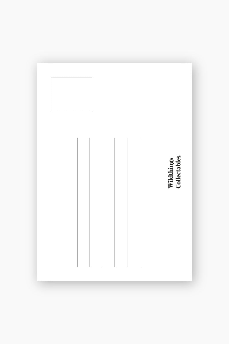 Confetti postcard