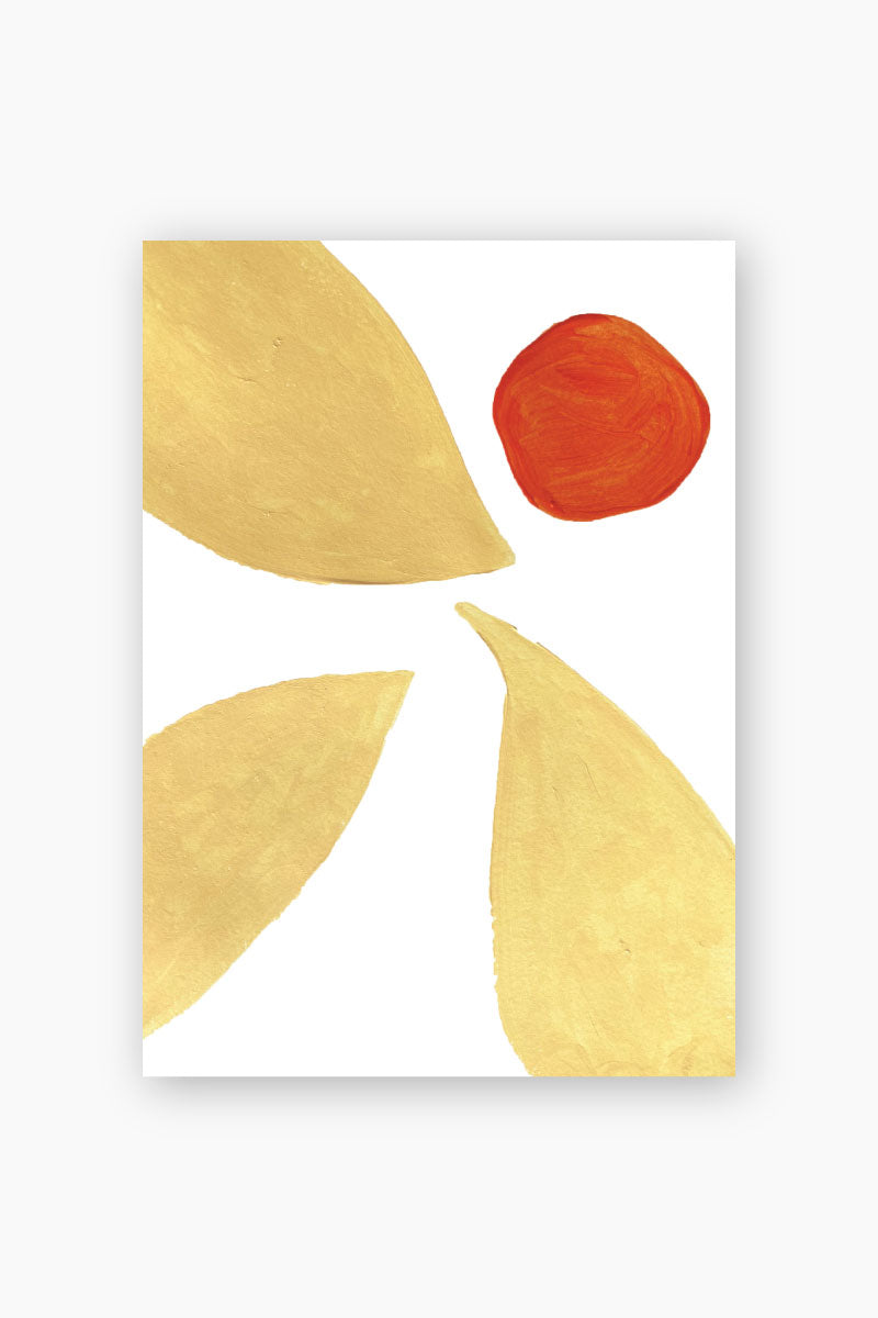 Flower petals postcard