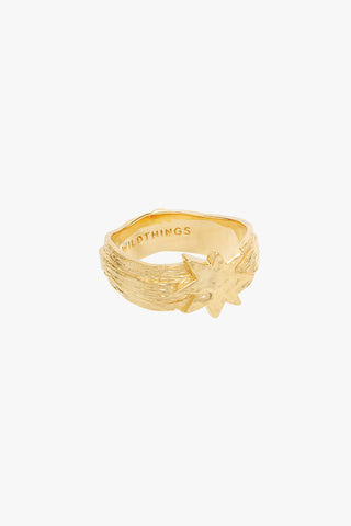 Hammered star pinky ring gold plated 