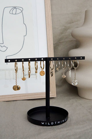 Earring display small