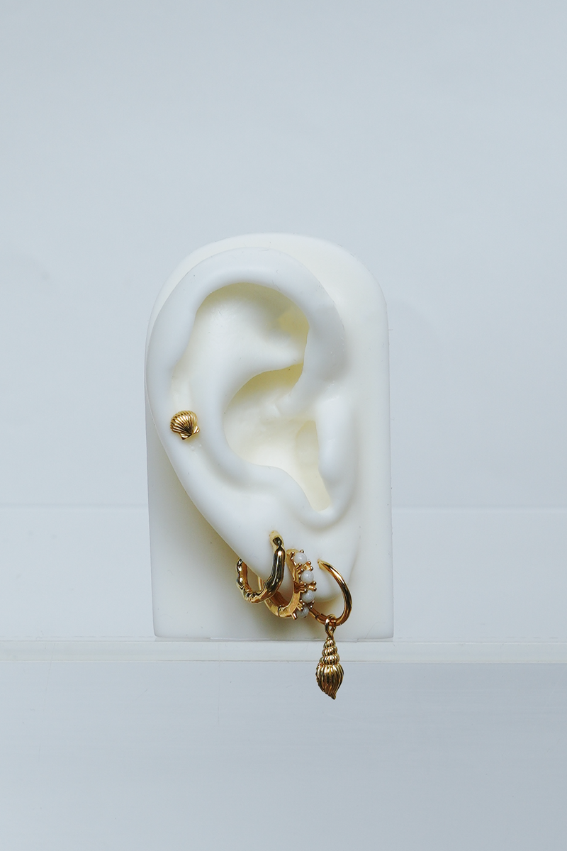 Tulip shell earring gold plated