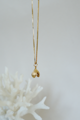 Clam shell necklace gold plated