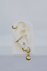 Clam shell earring gold plated