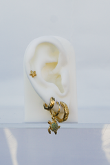 Under the sea turtle earring gold plated
